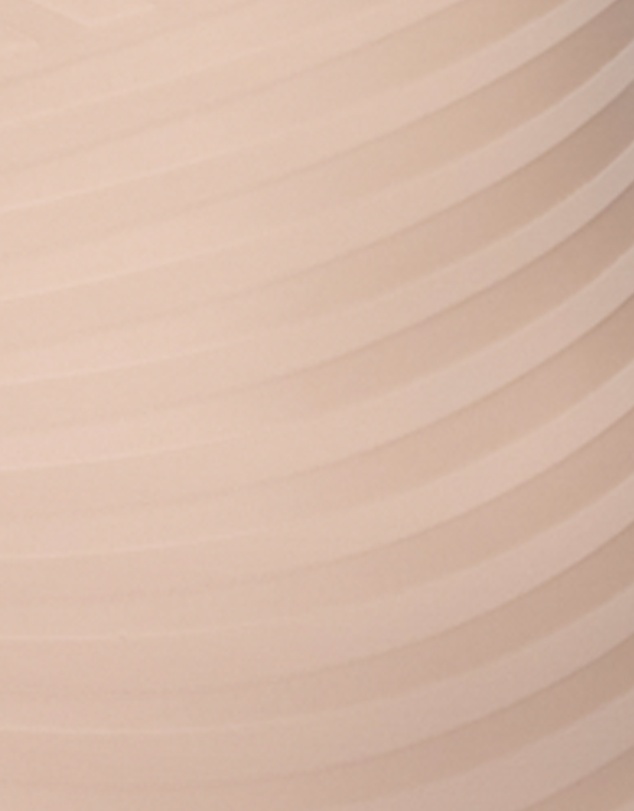 Naomi & Nicole - Mark My Curve Ultra-High Waist Tummy Control Shaping Brief