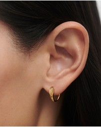PDPAOLA - Prehnite Isla Hoops