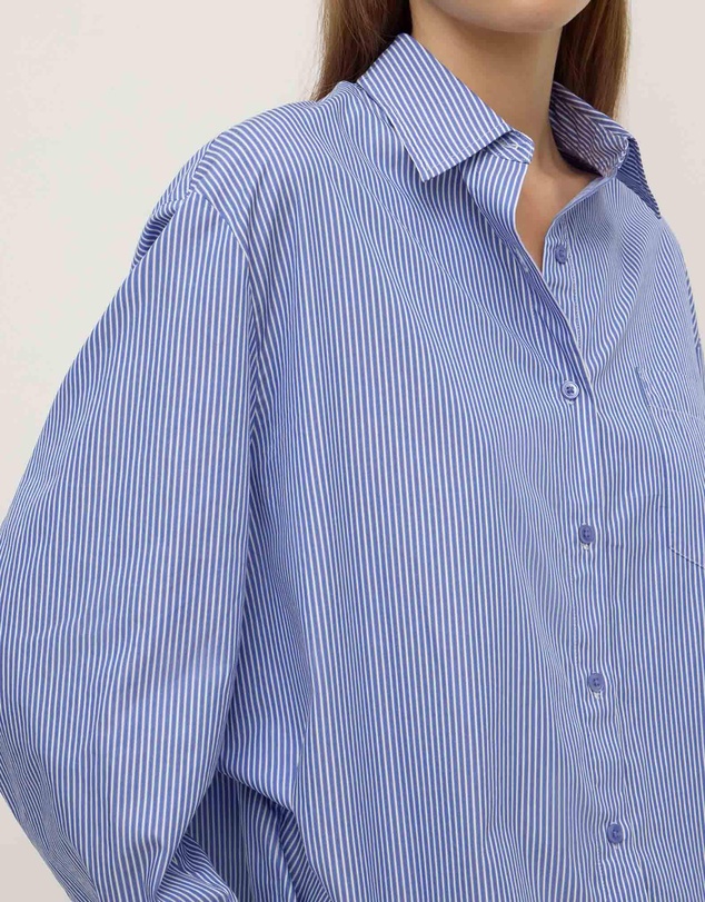 Assembly Label - Ava Stripe Cotton Poplin Long Sleeve Shirt