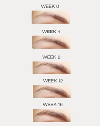 LASH FOOD - Eyebrow Enhancing Serum