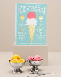Printworks - The Essentials Ice Cream Tools