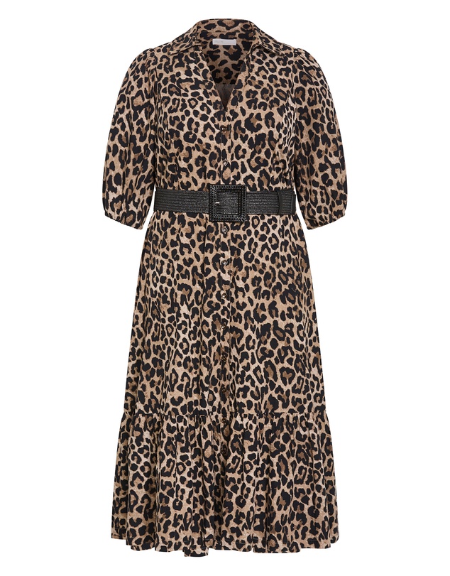 City Chic - Plus size Rosie Leopard Print Belted Dress - chocolate