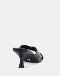 Novo - Zona Heels