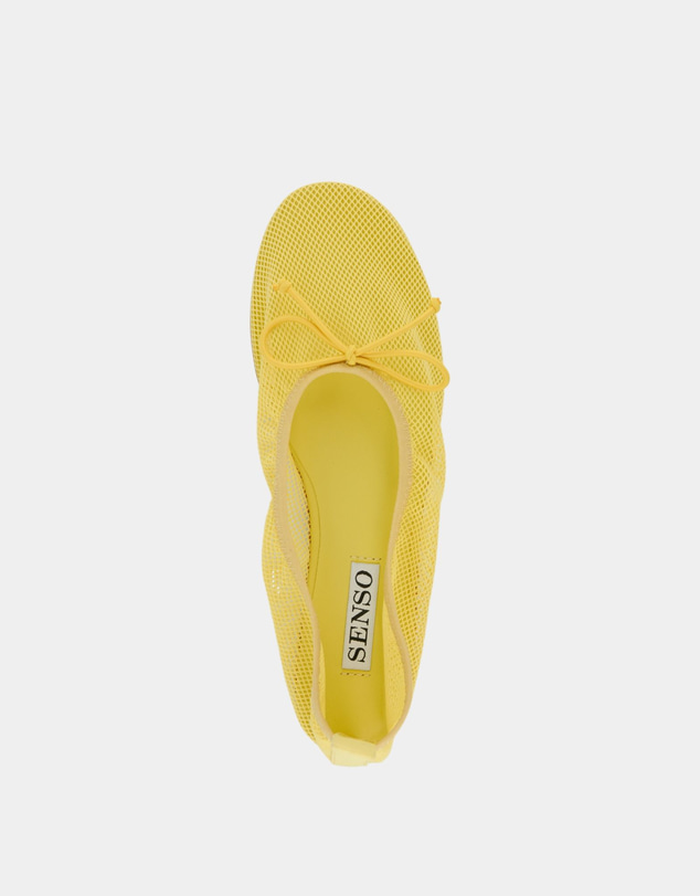 Senso - Carter