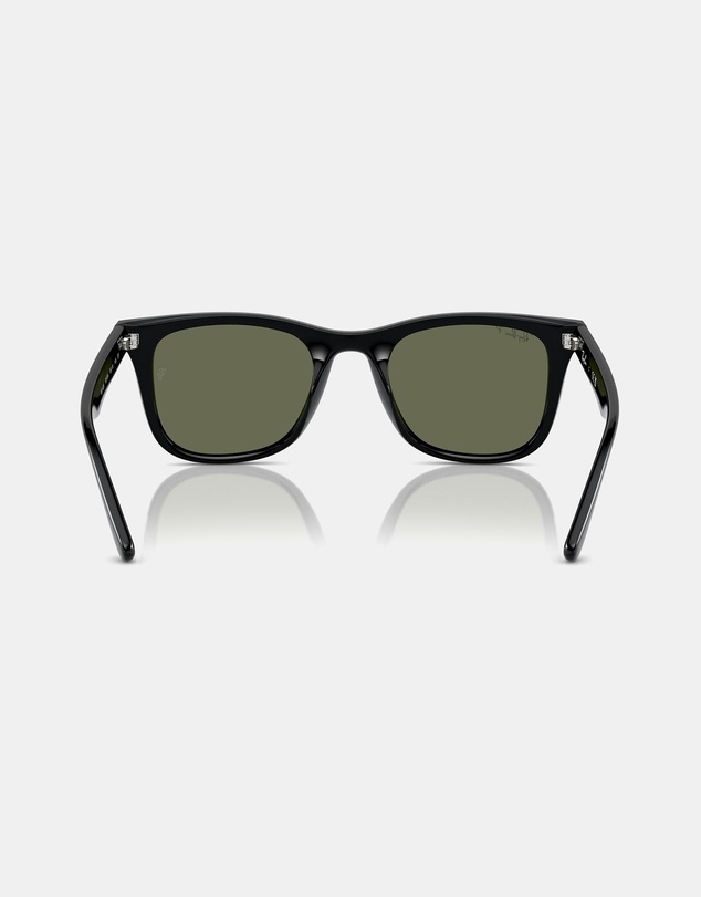 Ray-Ban - 0RB4420