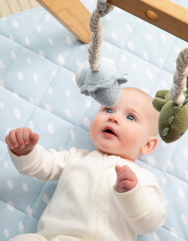 Living Textiles - 2 Pack Stroller Toys - Dinosaurs