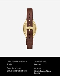 Emporio Armani - Brown Analogue Watch