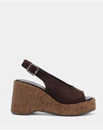 Novo - Belief Wedges