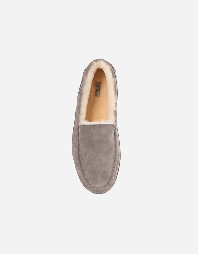 Ozwear Connection Uggs - Ugg Denver Men's Moccassin (Water Resistant)