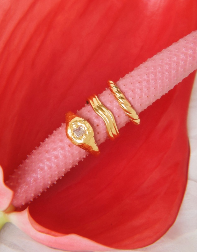 HOUSE OF SLANI - Textured Willow Ring