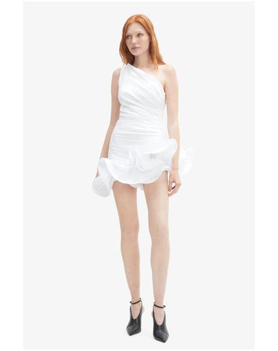 110601 ORCHID WHT