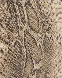 AllSaints - Bettina Snake Clutch
