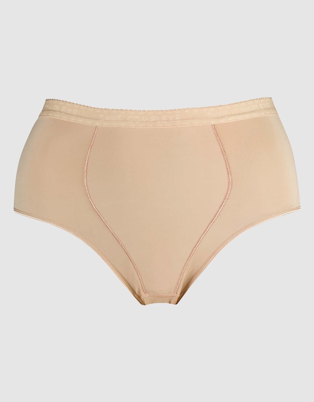 Sans Complexe - Pure Lift High Waist Tummy Control Shaping Brief