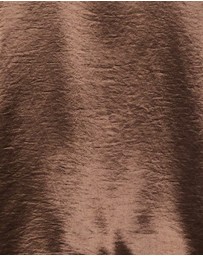 ids - Stevie Shirt