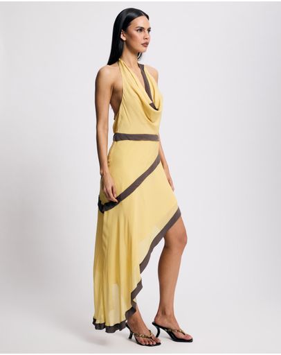 Yellow & Chocolate