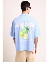 Arvust - Honolulu Cropped Shirt