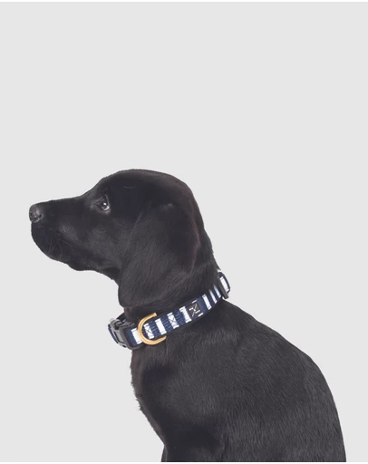 Mog & Bone - Neoprene Collar - Navy Hamptons Stripe Print