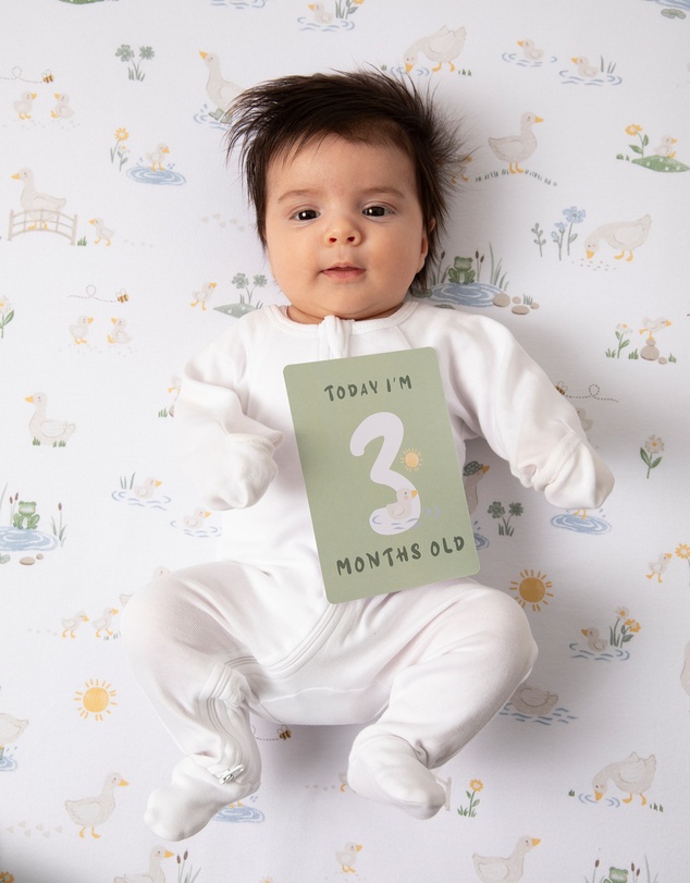 Living Textiles - Milestone Cards - Goosey Goosey