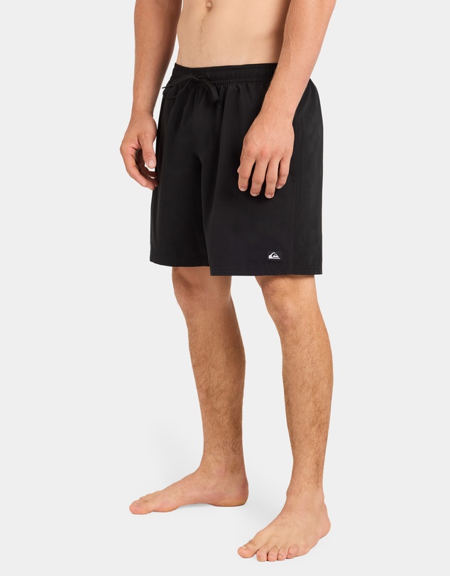 Quiksilver - Mens Everyday Mesh 17