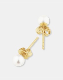 Michael Hill - Round Cultured Freshwater Pearl Studs in 10kt Yellow Gold
