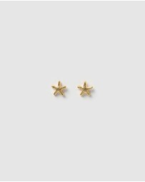 Arms Of Eve - Starfish Gold Studs