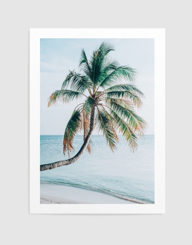 Olive et Oriel - Maldivian Palm I Art Print