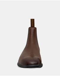 Ascent - Crest 2 Brown