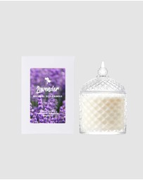 Silk Oil of Morocco - Lavender Natural Soy Candle - Medium