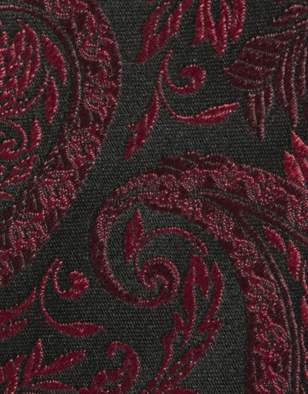 Tarocash - Rydal Paisley Silk Tie