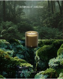 Black Blaze - Rainforest Sunlight Scented Candle