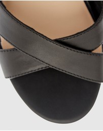 Easy Steps - Shelly