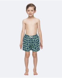 Tom & Teddy - Turtle Swim Shorts