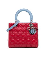 Pre-Loved by Azura Reborn - Pre-Loved dior Elegant Quilted Handbag with Top Handle and Detachable Strap
