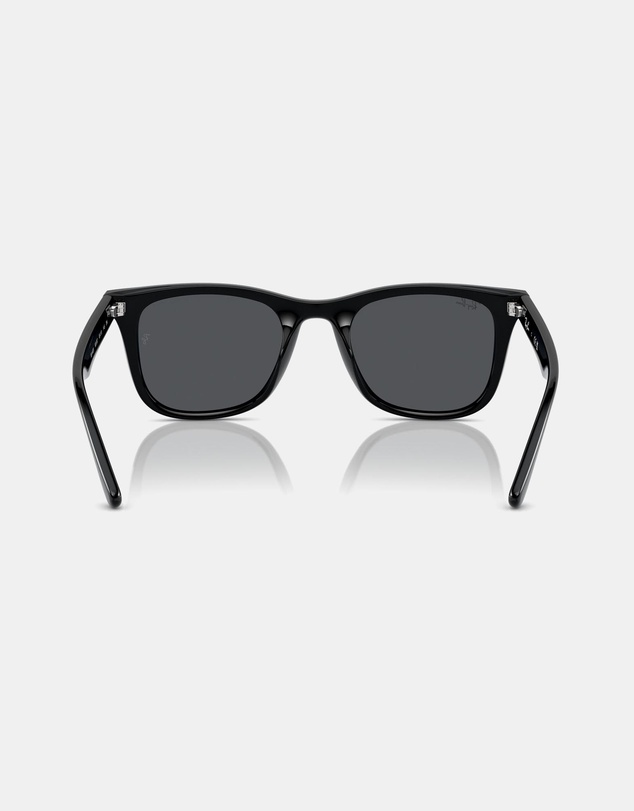 Ray-Ban - 0RB4420