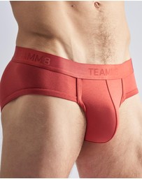 TEAMM8 - Reign Brief