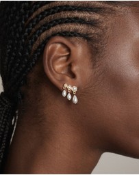 MIMCO - Crystalline Stud Earrings