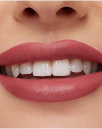 MAC - MACximal Silky Matte Lipstick - Twig Tist