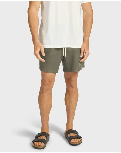 Academy Brand - Teamster Boardy