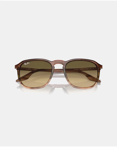 Ray-Ban - 0RB2203