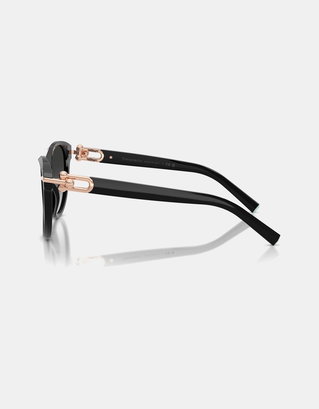 Tiffany & Co. - 0TF4261