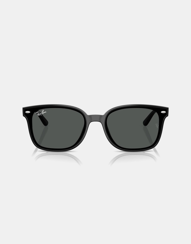 Ray-Ban - RB4461D