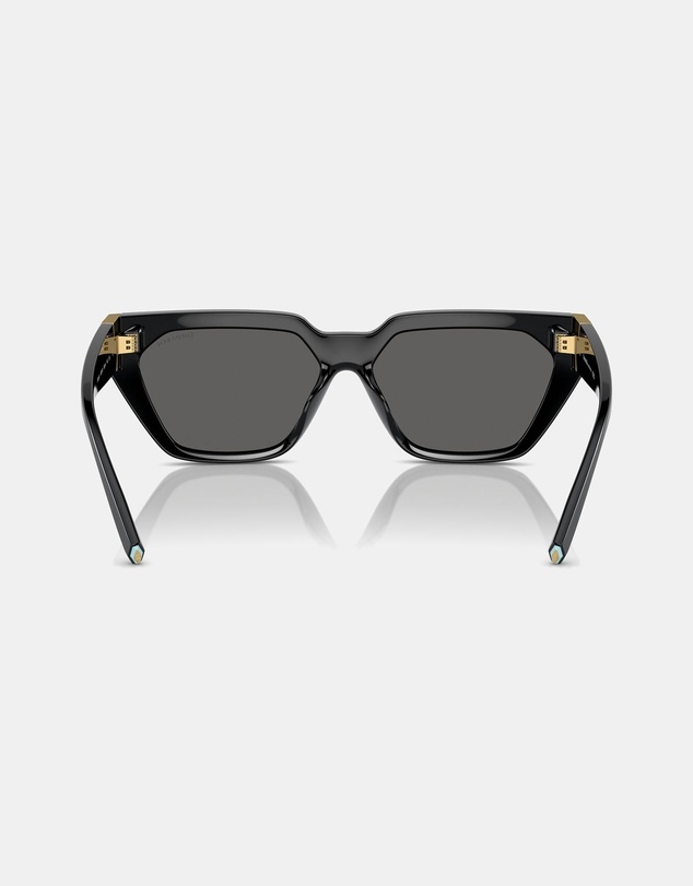 Tiffany & Co. - 0TF4205U