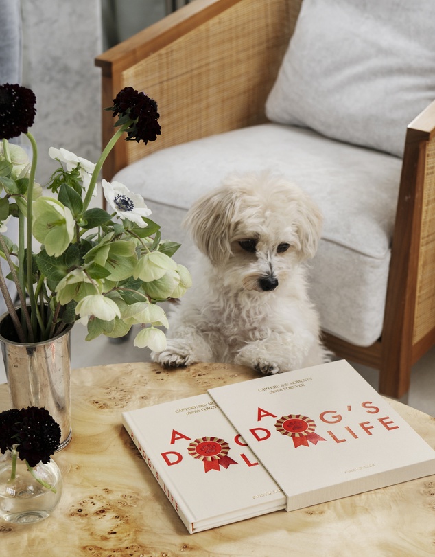 Printworks - Printworks A Dog's Life - Dog Journal