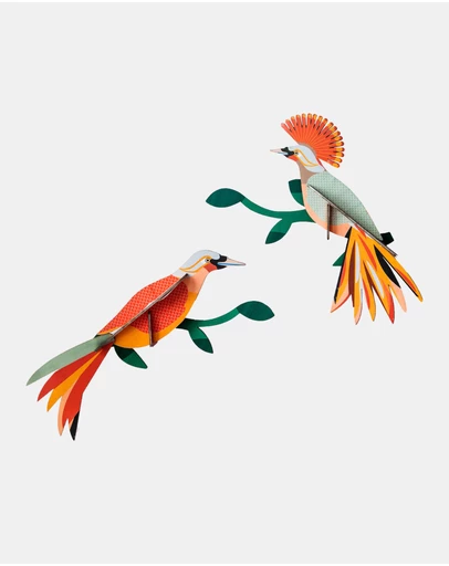 Studio Roof  - Wall Art Paradise Birds (B5) Obi