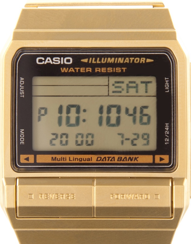 Casio - Vintage Digital Gold Databank