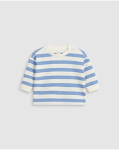 Electric Blue Stripe