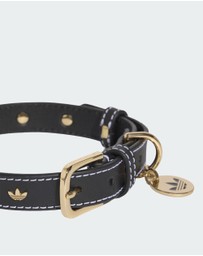 adidas Originals - adidas Pet Collar