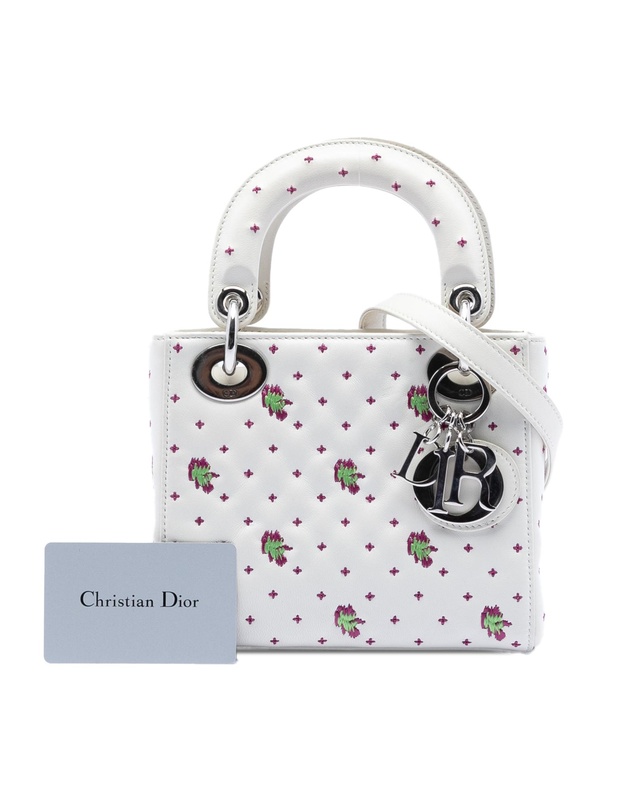 Pre-Loved by Azura Reborn - Pre-Loved Mini Embroidered Calfskin Lady Dior