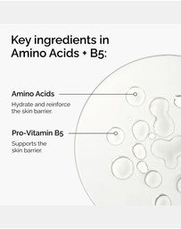 The Ordinary - Amino Acids + B5 - 30ml