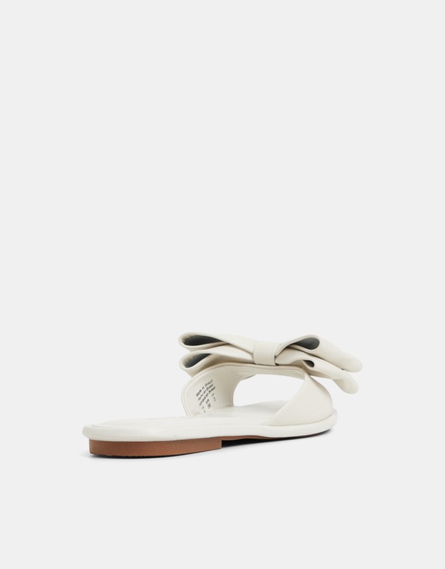 ALDO - Bowetta Ballerina & Flats